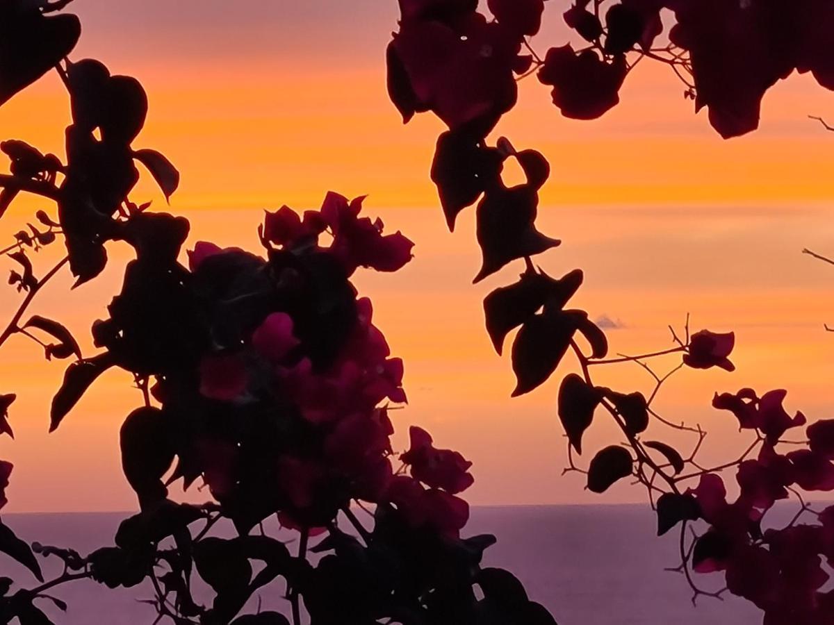 “Cielo E Mare”, Casetta Nel Cuore Del Borgo Antico / “Sky & Sea”, Charming In The Heart Of Old Village Кастелсардо Екстериор снимка