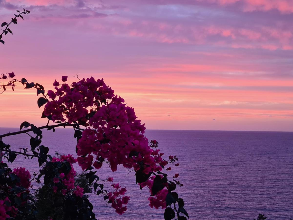 “Cielo E Mare”, Casetta Nel Cuore Del Borgo Antico / “Sky & Sea”, Charming In The Heart Of Old Village Кастелсардо Екстериор снимка